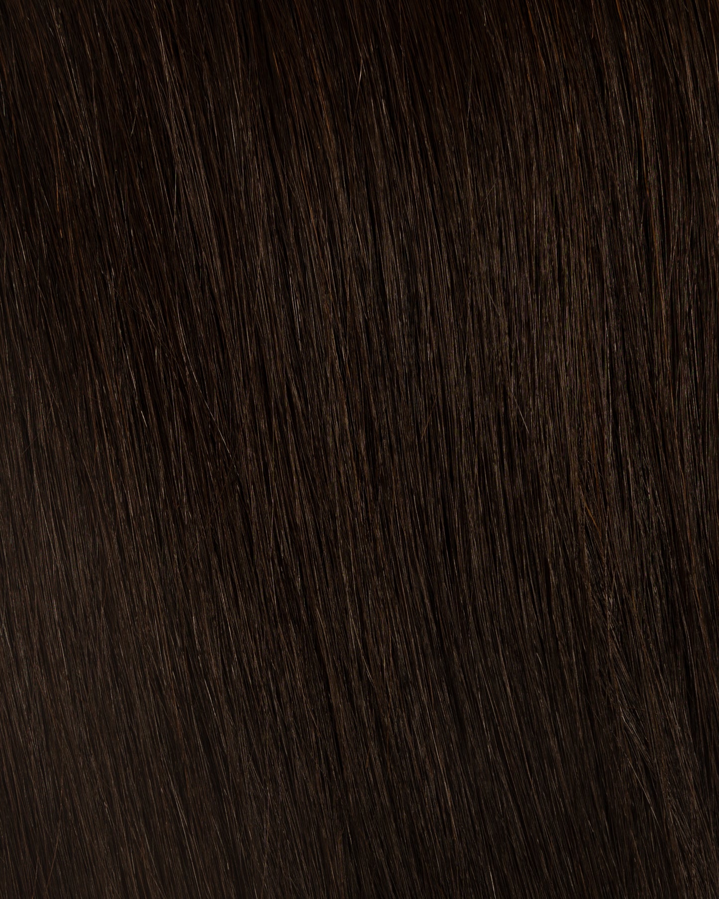 Brazilian Ponytail